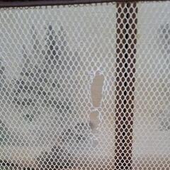 おくだけとおせんぼの画像