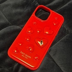 iPhone15ケースのみ