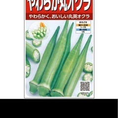 お好きな野菜の種 5種セット