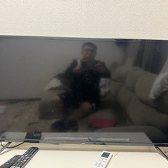 テレビ