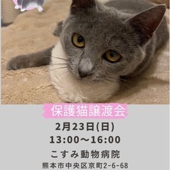 🐾ほごにゃんCOCORO譲渡会🐾