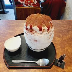 一年中かき氷🍧✨を食べてる人と友達になりたいです。
