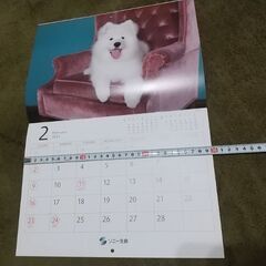 子犬の写真のカレンダー。毎月かわいい子犬がついてます🐶新品。
