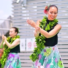 フラダンスやってみたい方募集