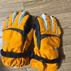 スポーツ スキー