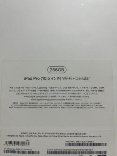 iPad Pro 256GB