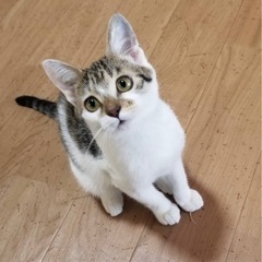 仲良し兄妹