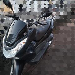 PCX150 KF12 小型バイク 自賠責付きの画像