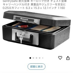 santry safe 耐火金庫
の画像