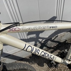 LOUIS GARNEAU XC CASPER PRO マウンテンバイクの画像
