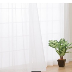 【極美品】使用1ヶ月！2組　ニトリ　レースカーテン　4枚の画像