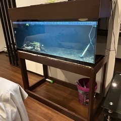 アクリル水槽　1200×600×450 上部濾過　キャビネット　セット