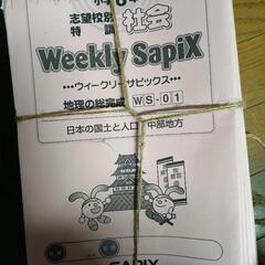 Weekly Sapix 社会 WS-01