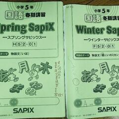 Spring SapiX & Winter SapiX 国语