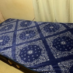 ダークブラウン.ストライプ模様ソファベッドの画像