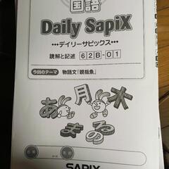 Daily SapiX 国語 小学6年 62B