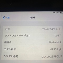 ipad mini 2 64G
