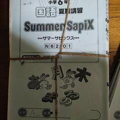 Summer Sapix 国語 夏期講習 N62