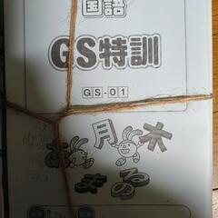 小学6年 国語 GS特訓 GS-01 SAPIX
