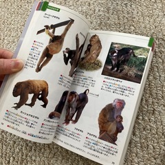 動物　恐竜　宇宙　水の生き物　図鑑の画像