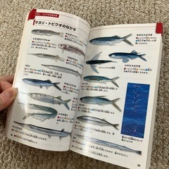 動物　恐竜　宇宙　水の生き物　図鑑の画像