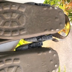 フィン
の画像