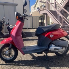 ホンダトゥデイAF６１自賠責つき