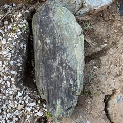 庭石　Aの画像