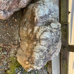 庭石　Aの画像