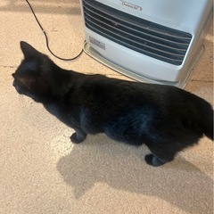 仲良し姉妹です − 兵庫県