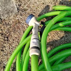 3/1 （土）まで＊ ホースを差し上げますの画像
