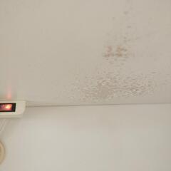 ※追加記載あります※NITORI食器棚の画像