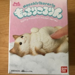 もっちりころりん猫の画像