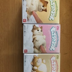 もっちりころりん猫