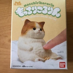 もっちりころりん猫の画像