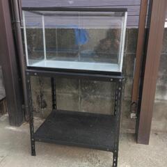 60センチ水槽╋水槽台(スチール棚）