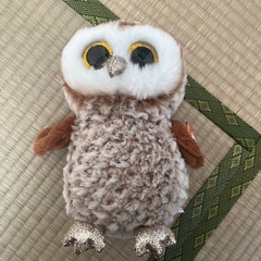 フウロウ　ぬいぐるみ