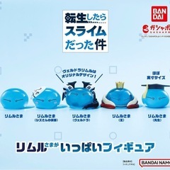 リムル‪♥️コンプリートの画像
