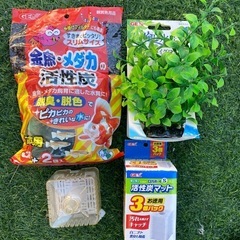 メダカ飼育に最適