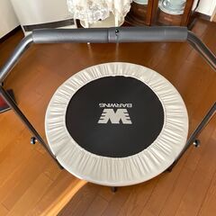運動　トランポリン