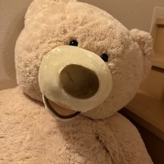 購入者決定済み　再投稿　コストコ　クマ