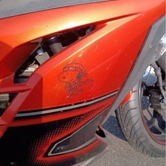 NINJA250  値下げしました(お話中
)の画像