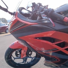 NINJA250  値下げしました(お話中
)の画像