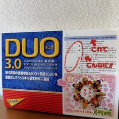 DUO3.0