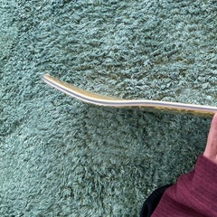 Sourスケボー8.125新品未使用板の画像