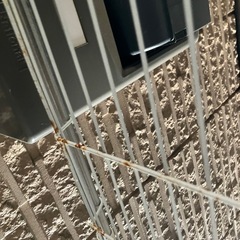 ニトリ　
洗濯機ラック⭐️本日もしくは明日の15時までに持って行っていただける方限定⭐️の画像