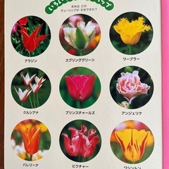 【引渡し決まっております】しょくぶつずかんの画像