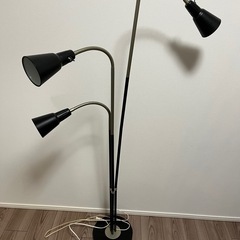 【即引渡し可】間接照明