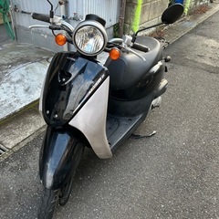 HONDA トゥデイ　原付　程度良好車　自賠責R9年7月