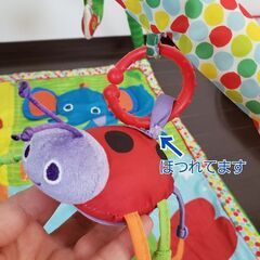 ベビープレイジム はらぺこあおむしの画像